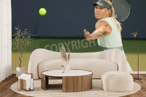 Visualisation du produit