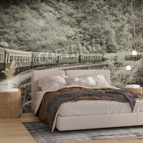 Papier peint  Train sur le viaduc tonalités noir et blanc