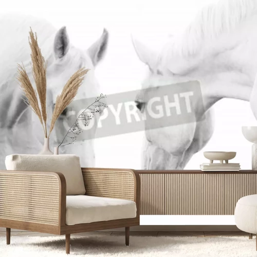 Papier peint  Deux petits chevaux blancs