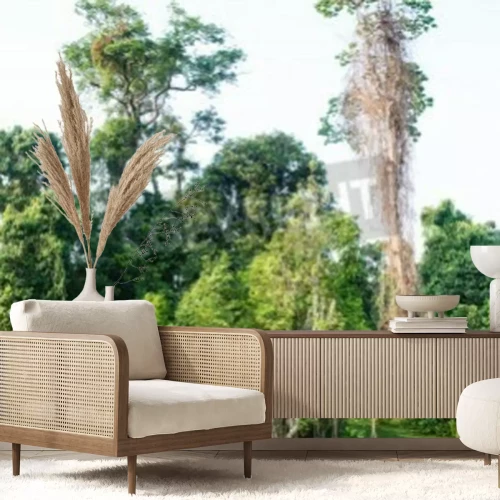 Papier peint  Pont Parc National en Thaïlande