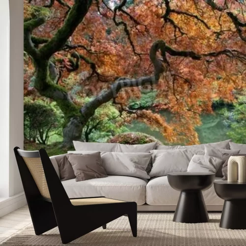 Papier peint  Jardin japonais en automne