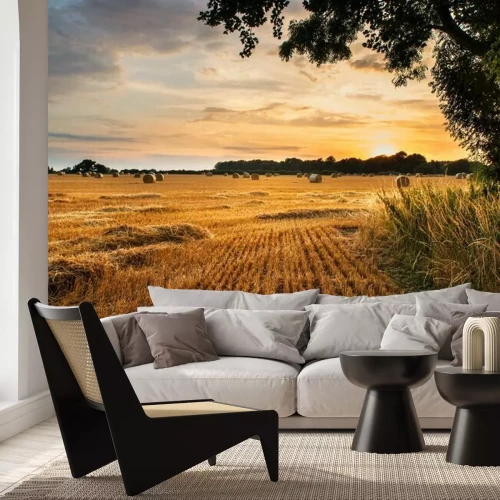 Papier peint  Paysage d'un champ au coucher du soleil