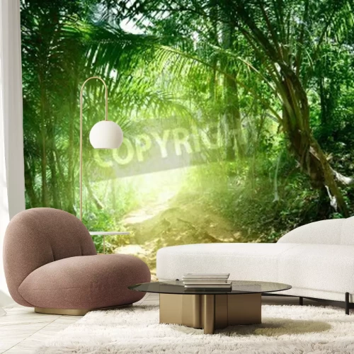 Papier peint  Tunnel fait de plantes vertes dans la forêt vierge