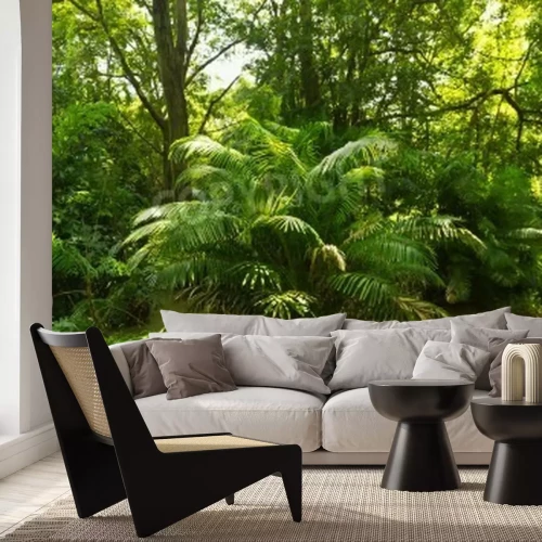 Papier peint  La végétation tropicale dans la forêt vierge