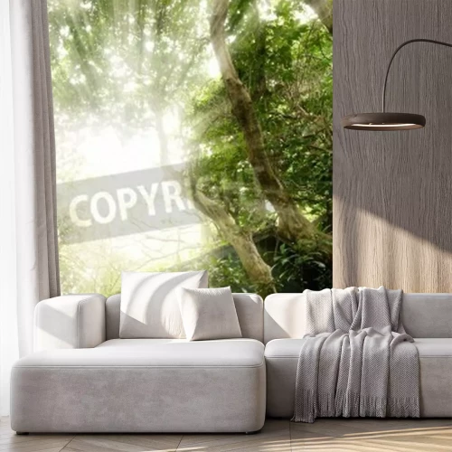 Papier peint  La vue sur le ciel depuis la forêt vierge