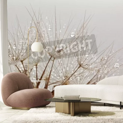 Papier peint  Graines de pissenlit style rétro