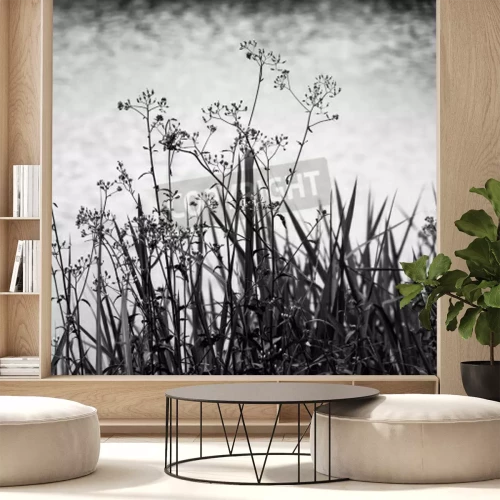 Papier peint  Prairies noir et blanc sur le ciel