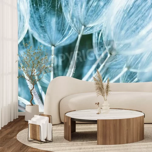 Papier peint  Graines de pissenlit version macro