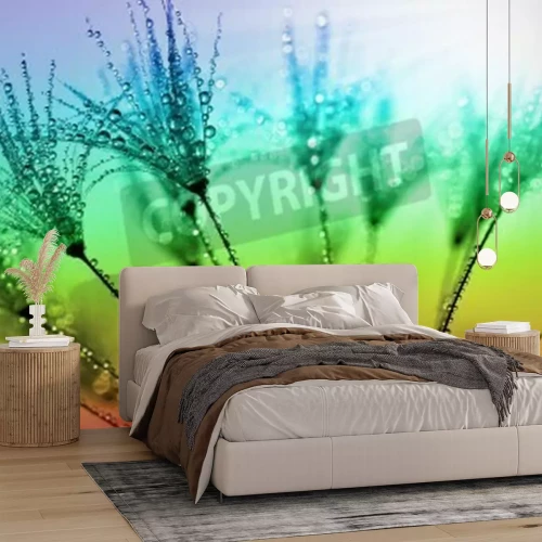 Papier peint  Graines de pissenlit fond arc-en-ciel