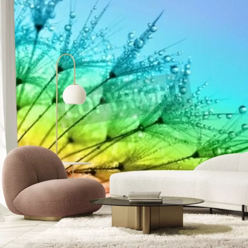 Papier peint  Pissenlit fond arc-en-ciel