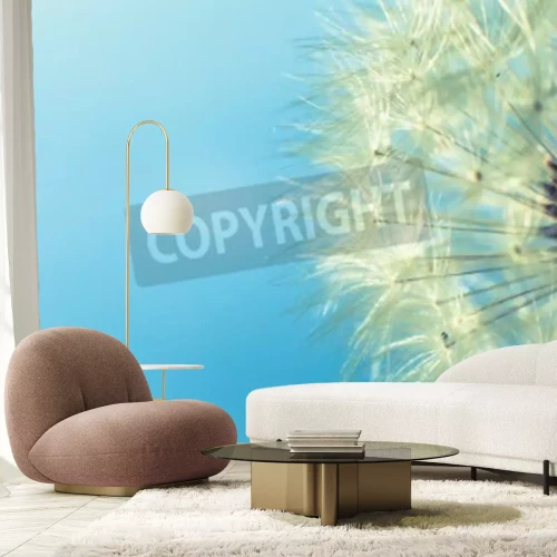 Papier peint  Graines de pissenlit fond bleu