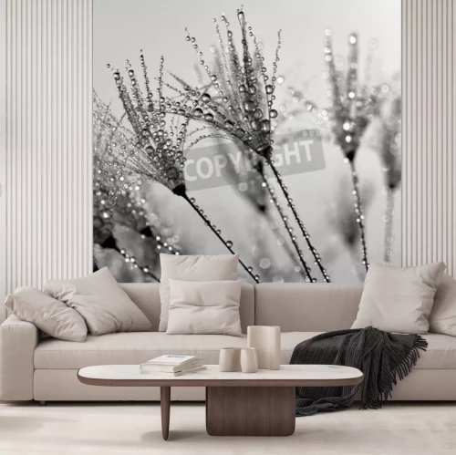 Papier peint  Pissenlits dans l'eau