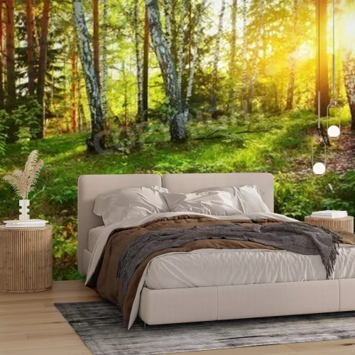 Papier peint  Végétation sauvage et bouleaux