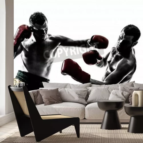 Papier peint  Combat de boxeurs