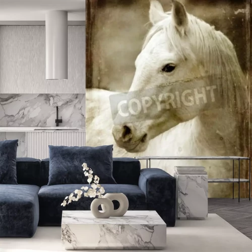 Papier peint  Portrait de cheval en sépia