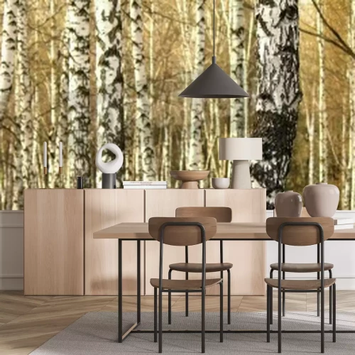 Papier peint  Panorama de bouleaux