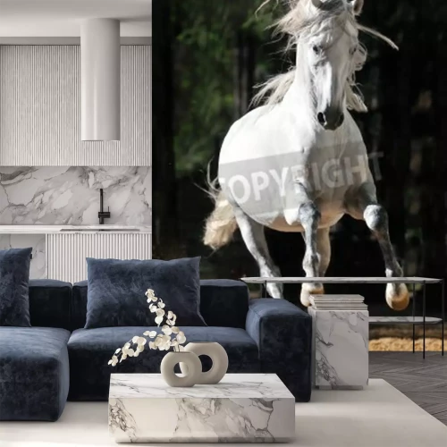 Papier peint  Cheval andalou l'été