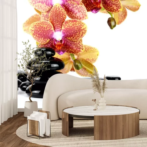 Sticker  Spa pierres et des fleurs d'orchidées sur blanc ...