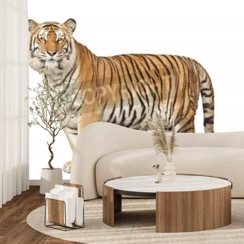 Papier peint  Silhouette chat sauvage