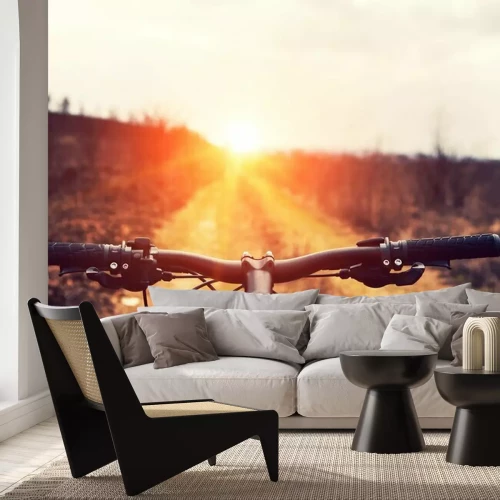 Papier peint  Guidon de vélo et chemin au coucher du soleil