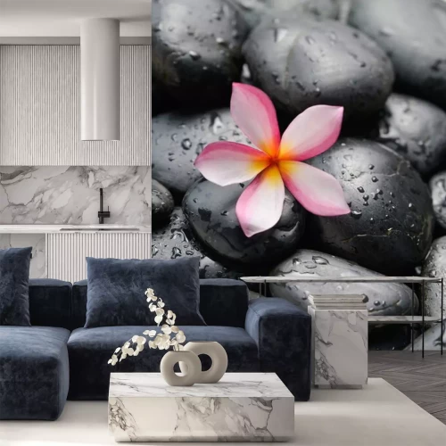 Sticker  frangipanier et de cailloux noirs humides