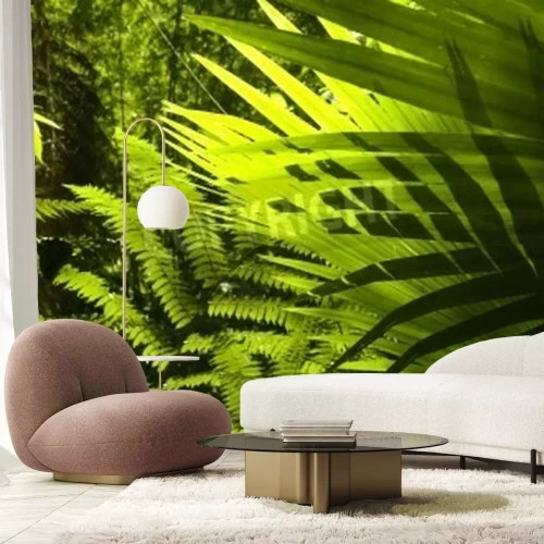 Papier peint  Palmiers et fougères dans la forêt vierge