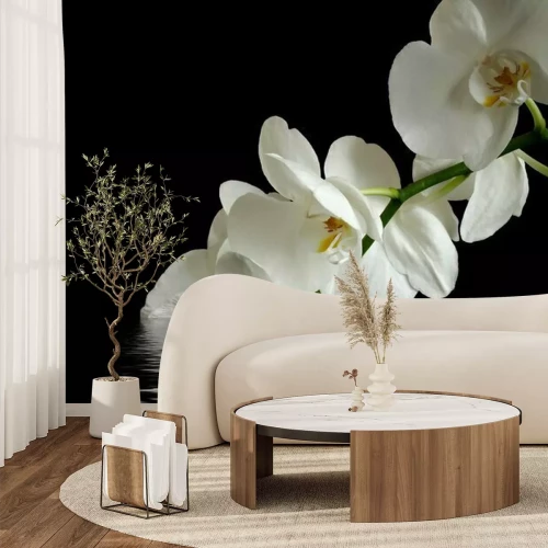 Papier peint  Des orchidées blanches sur fond noir