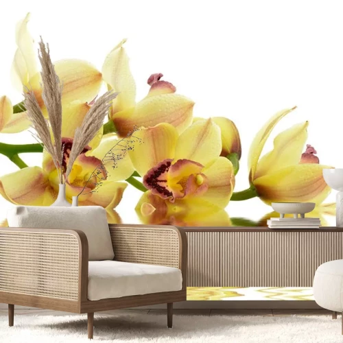 Sticker  Orchidée jaune sur l'eau