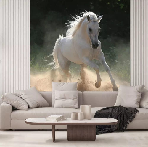 Papier peint  Animal blanc dans le paddock