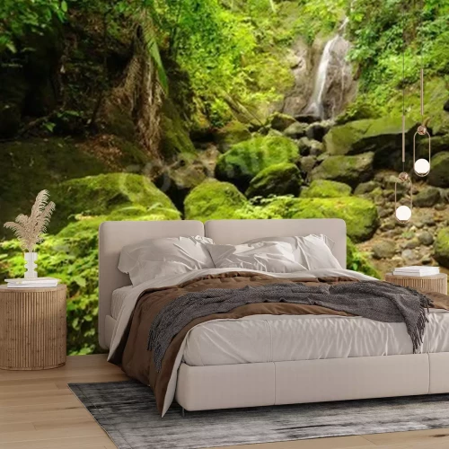 Papier peint  Cascade et pierres dans la forêt vierge