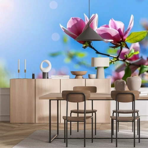 Papier peint  Magnolias ciel et soleil