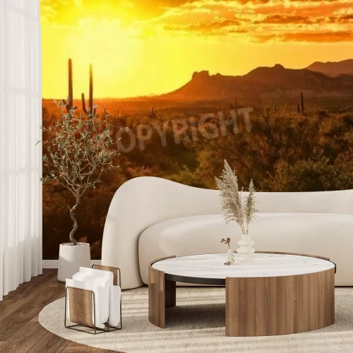 Papier peint  Coucher de soleil dans le désert