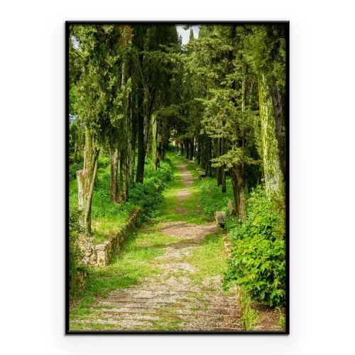 Poster  Une allée verdoyante entourée d'une rangée d'arbres à feuilles caduques