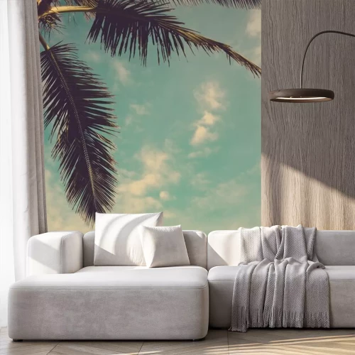 Papier peint  Coconut palmier contre le ciel bleu vintage rétro