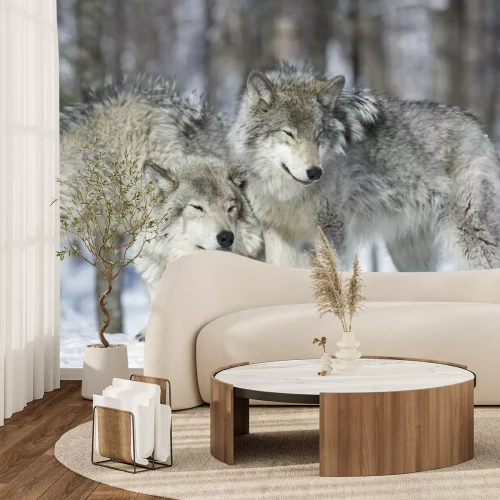 Papier peint  Troupeau de loups polaires