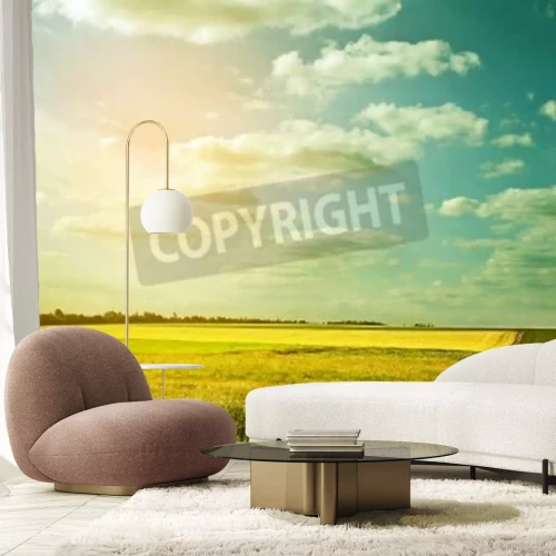 Papier peint  Coquillages sur le sable sur fond de ciel