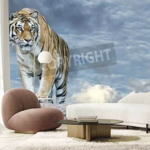 Papier peint  Tigre sur le ciel