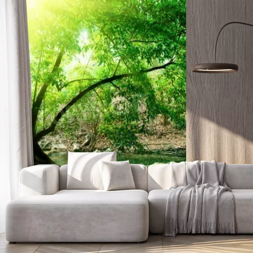 Papier peint  Rivière paisible dans la forêt vierge