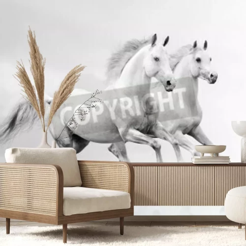 Papier peint  Deux chevaux sur fond blanc