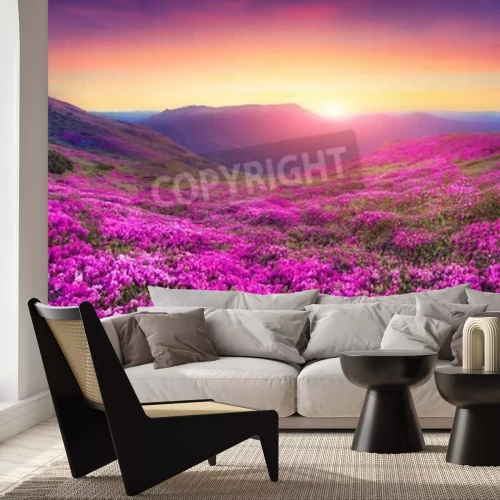 Papier peint  Champ de fleurs au lever du soleil