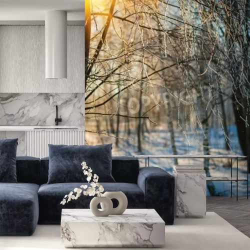 Papier peint  Bouleaux gelés en hiver