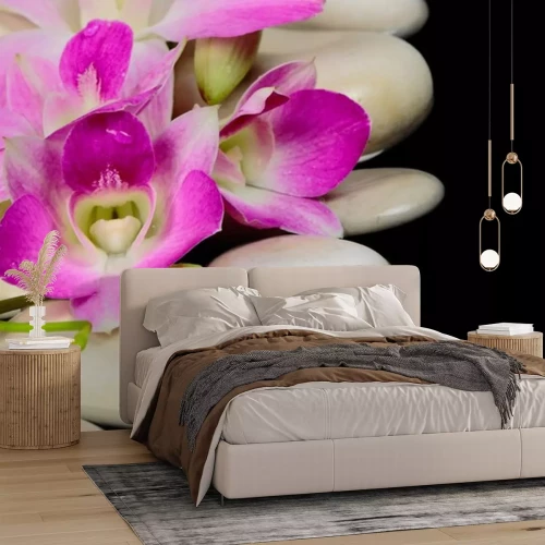 Sticker  Spa pierres