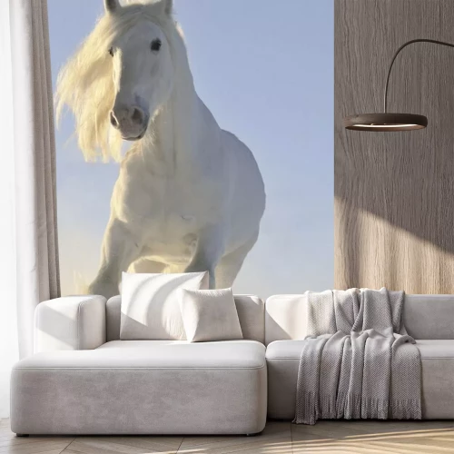Papier peint  Cheval galopant dans la neige