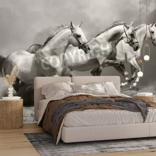 Papier peint  Chevaux au galop un matin