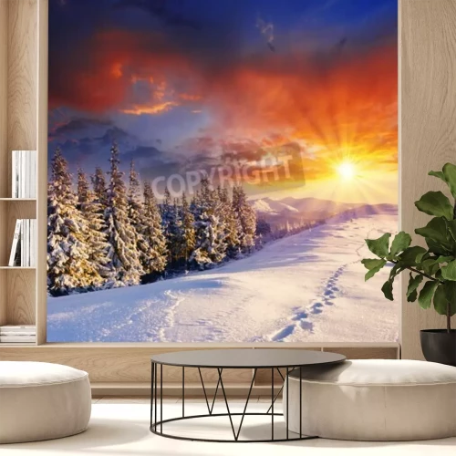 Papier peint  Arbres de Noël en hiver et coucher de soleil