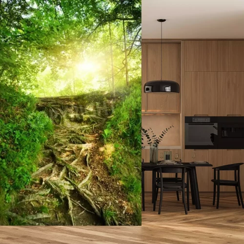 Papier peint  Les racines des arbres dans la forêt vierge