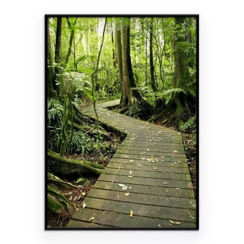 Poster  Un pont en bois traversant une forêt dense