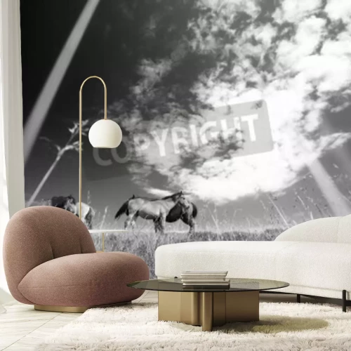 Papier peint  Dessin de chevaux noir et blanc