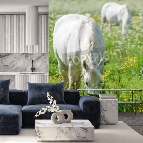 Papier peint  Deux petits chevaux en train de brouter