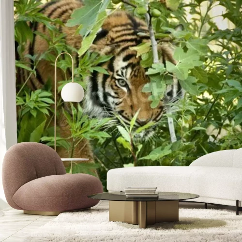 Papier peint  Tigre au milieu des feuilles vertes